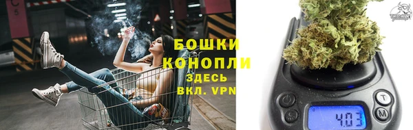 трава Новодвинск