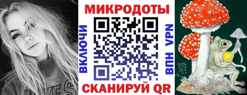 площадка состав  где можно купить   Сегежа  Псилоцибиновые грибы Psilocybe 