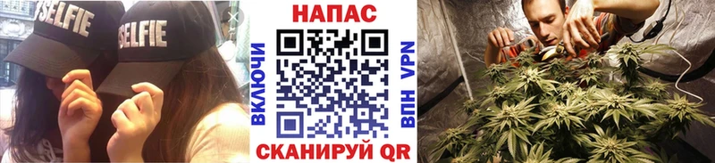 закладки  Сегежа  Каннабис гибрид 